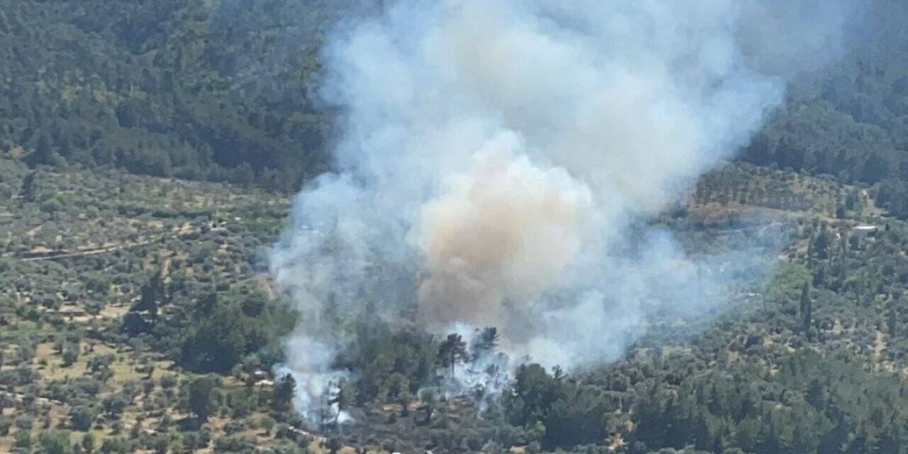 İzmir’de orman yangını kısa sürede kontrol altında