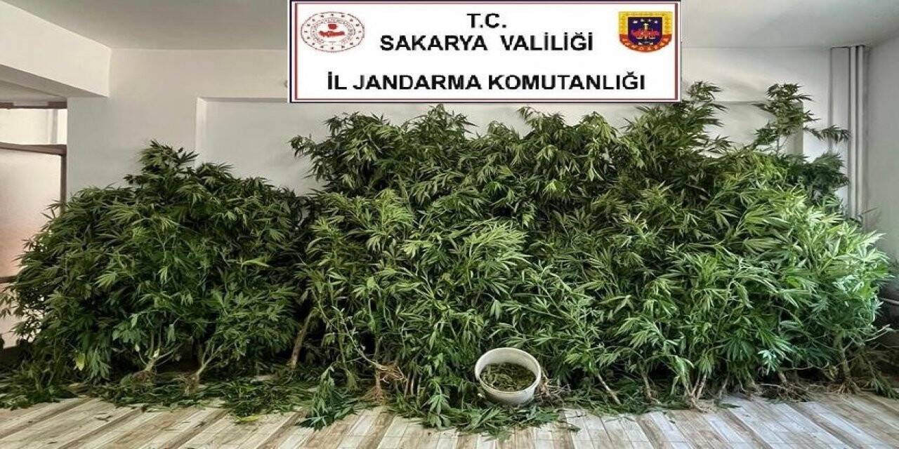 Jandarmadan 2 ilçede uyuşturucu operasyonu: 3 gözaltı
