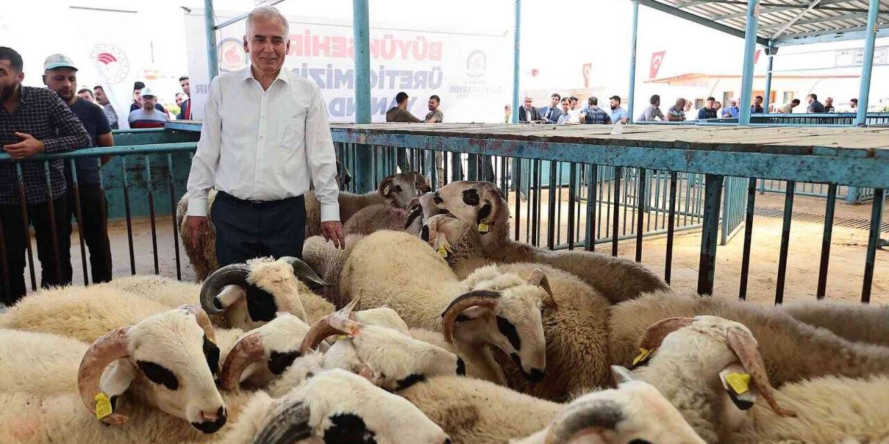 Küçükbaş yetiştiricisine yıkıma makinesi desteği