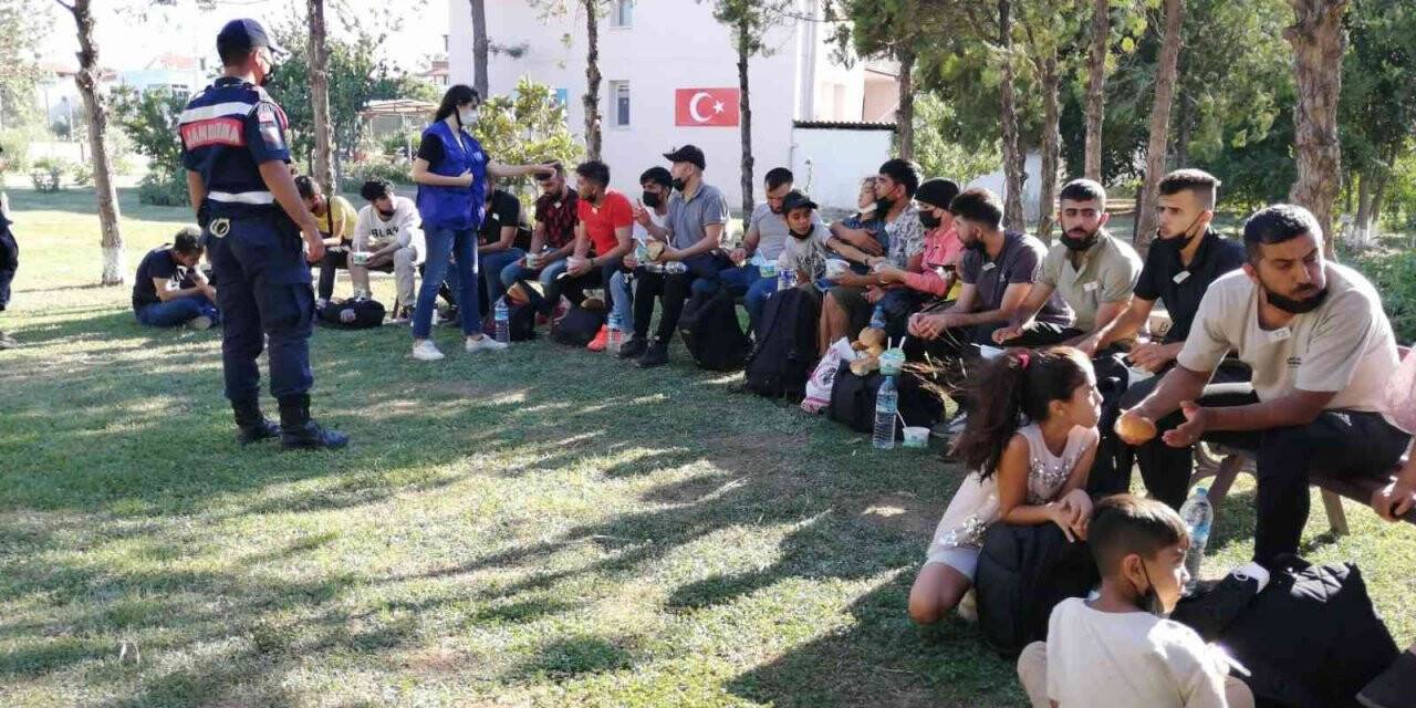 İzmir’de 278 düzensiz göçmen ve 4 organizatör yakalandı