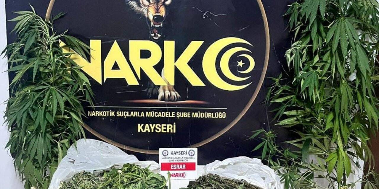 Evinde Hint keneviri yetiştirip satan şahıs yakalandı