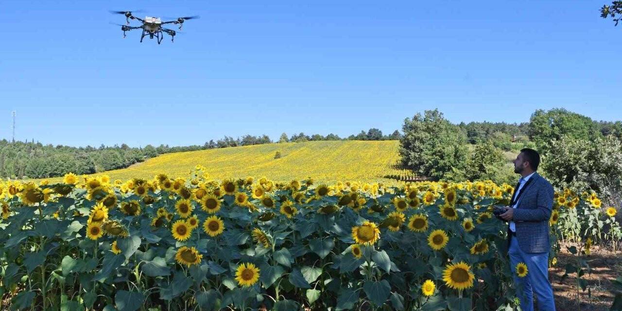 Kestel’de çayır tırtılı istilasına dronlu önlem