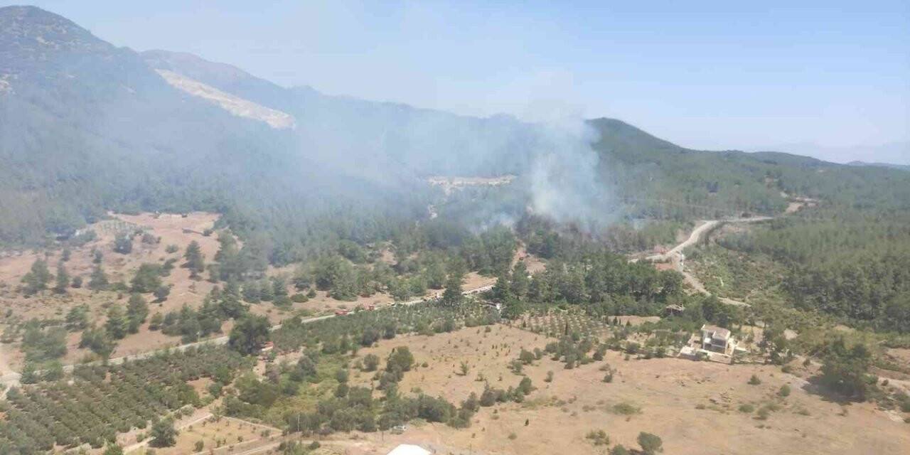 Seferihisar’da yangın