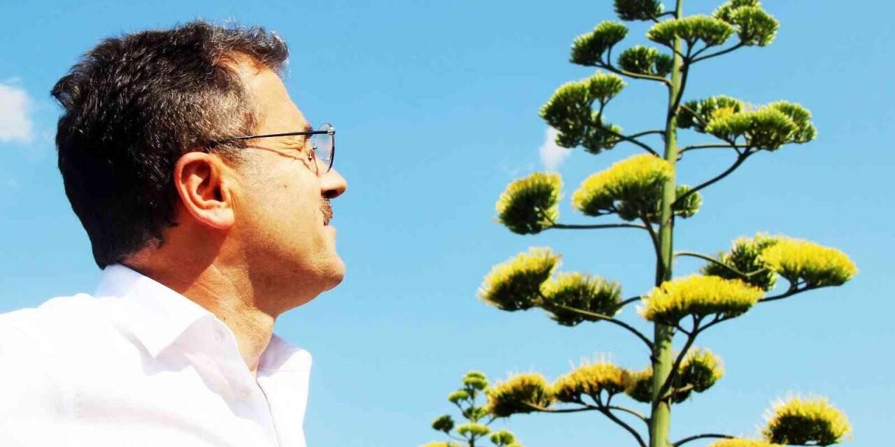 Unesco Dünya kültür mirası listesinde