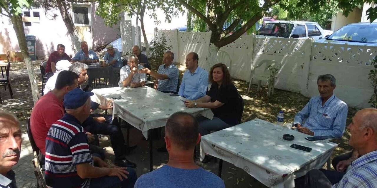 Trakya’da çayır tırtılı ile mücadele devam ediyor