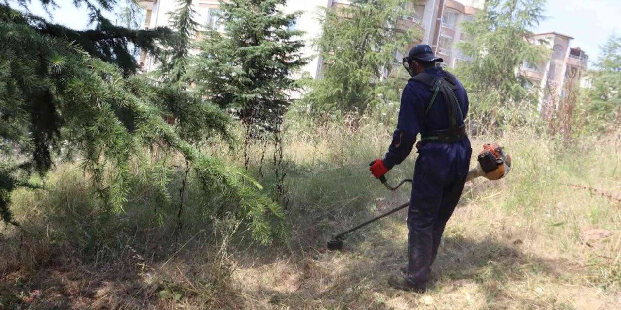 İzmit Belediyesi’nden Alikahya’da tırpan mesaisi