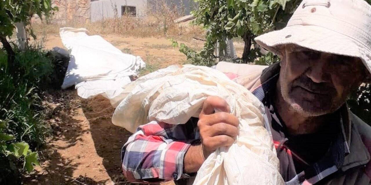 Aşırı sıcaklıklara rağmen üreticiler iş başında