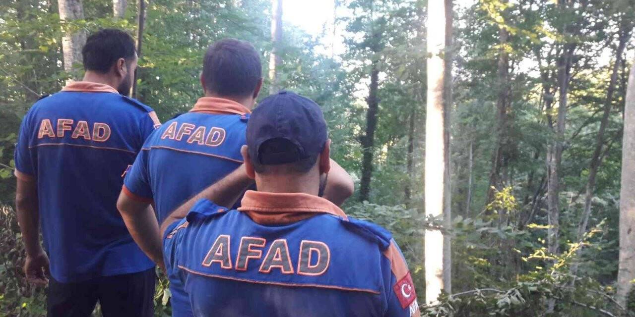 Kestiği ağacın altında kalan orman işçisi hayatını kaybetti