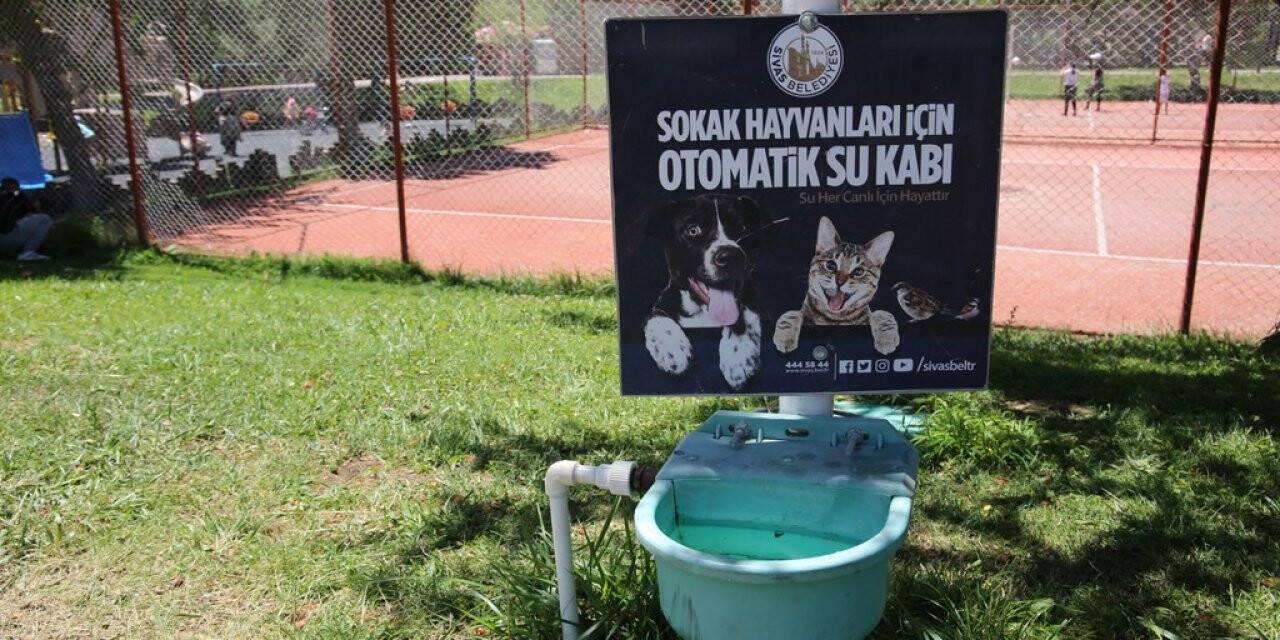 Sokak hayvanları için otomatik sulama sistemi