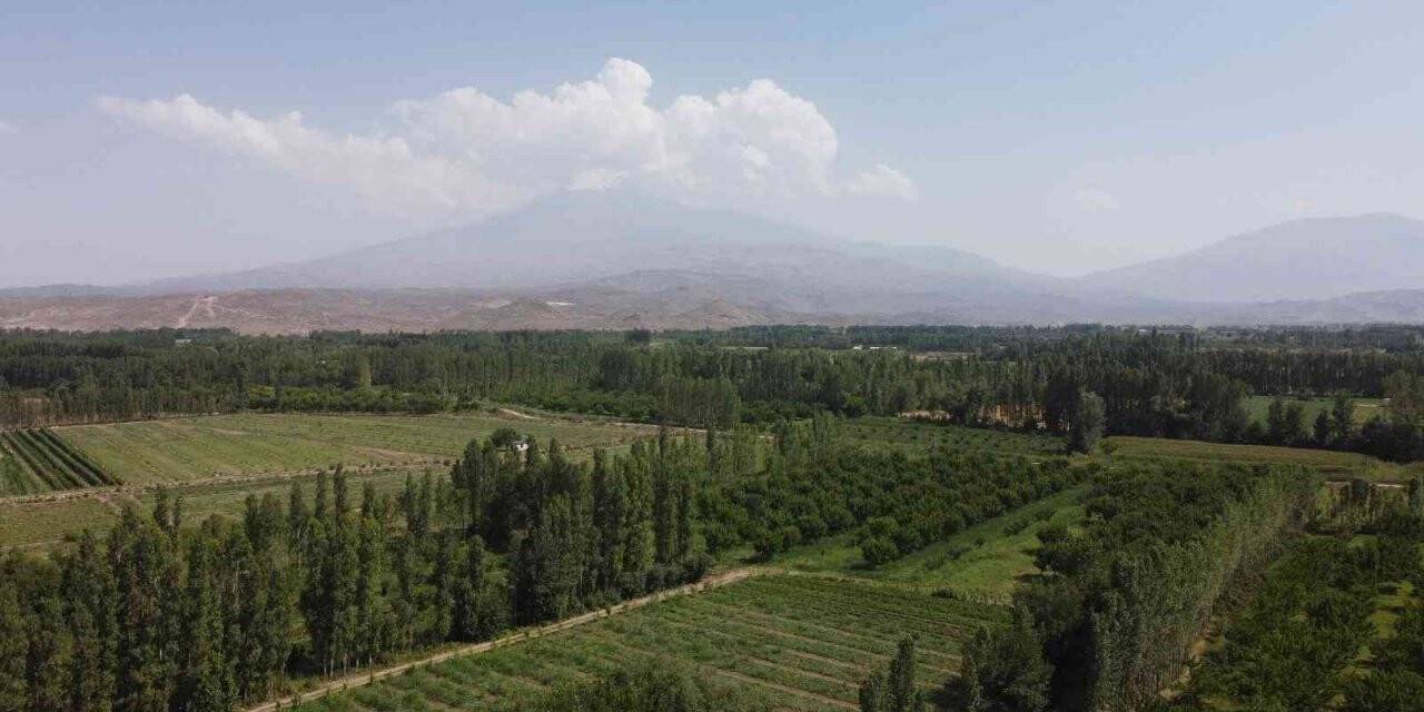 İrem Bağları, doğal güzelliği ve meyve sebzesiyle göz kamaştırıyor