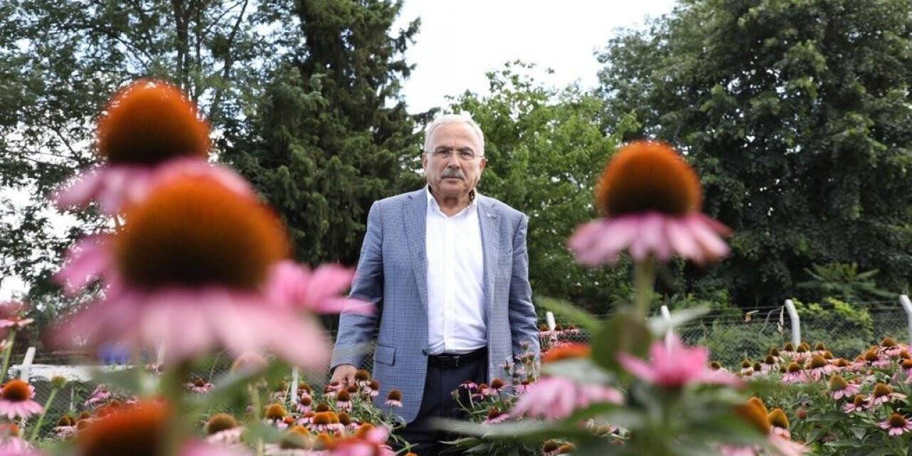 Ordu, tıbbi ve aromatik bitki üretimine göz kırpıyor