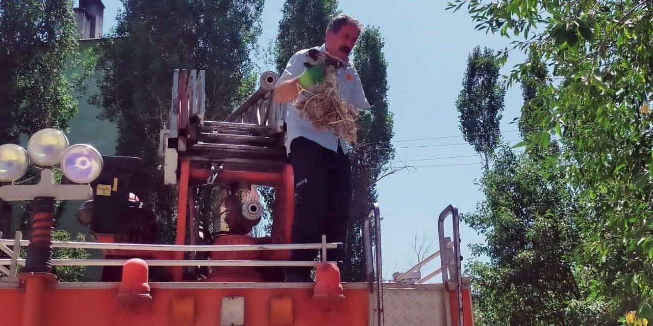 Ayağına dolanan iple ağaçta asılı kalan karga kurtarıldı