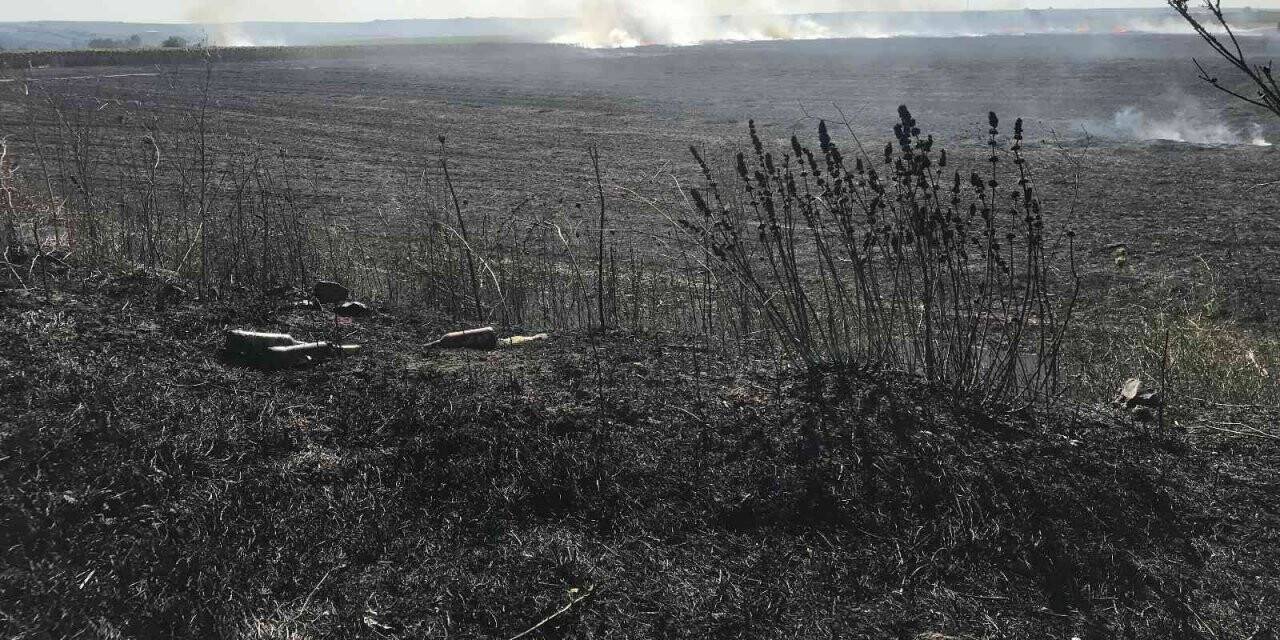 Yangında 30 dekar alan kül oldu
