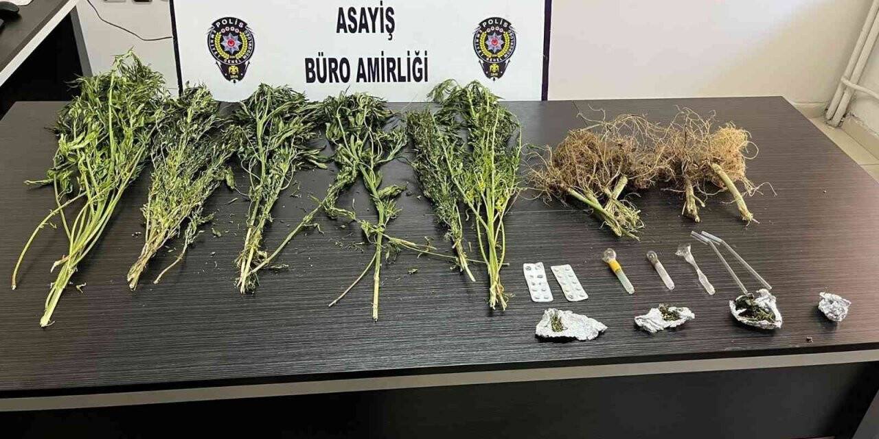 Saray polisinden uyuşturucu operasyonu