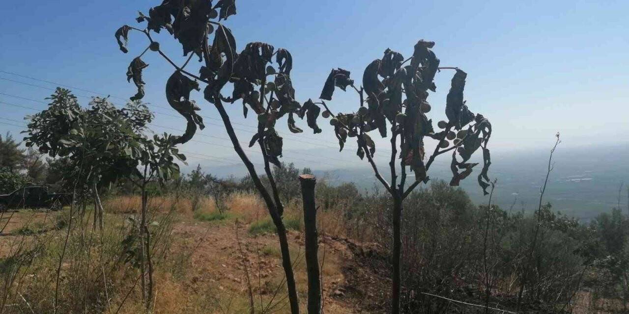 Yangından zarar gören bahçelerde incelemede bulunuldu