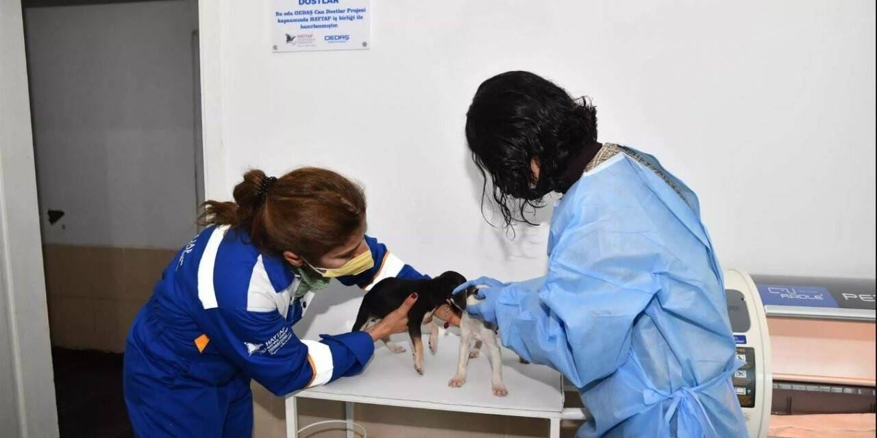 ’Can Dostlar’ sosyal sorumluluk projesi