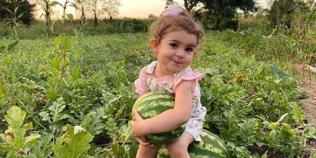 Bunaltıcı sıcaklar vatandaşı sulu meyvelere yönlendirdi