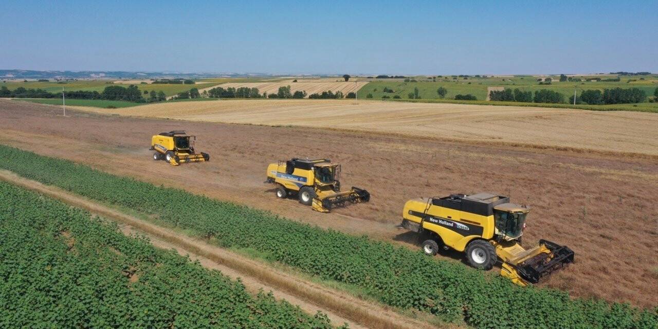 Kendi tarlasından vatandaşın sofrasına