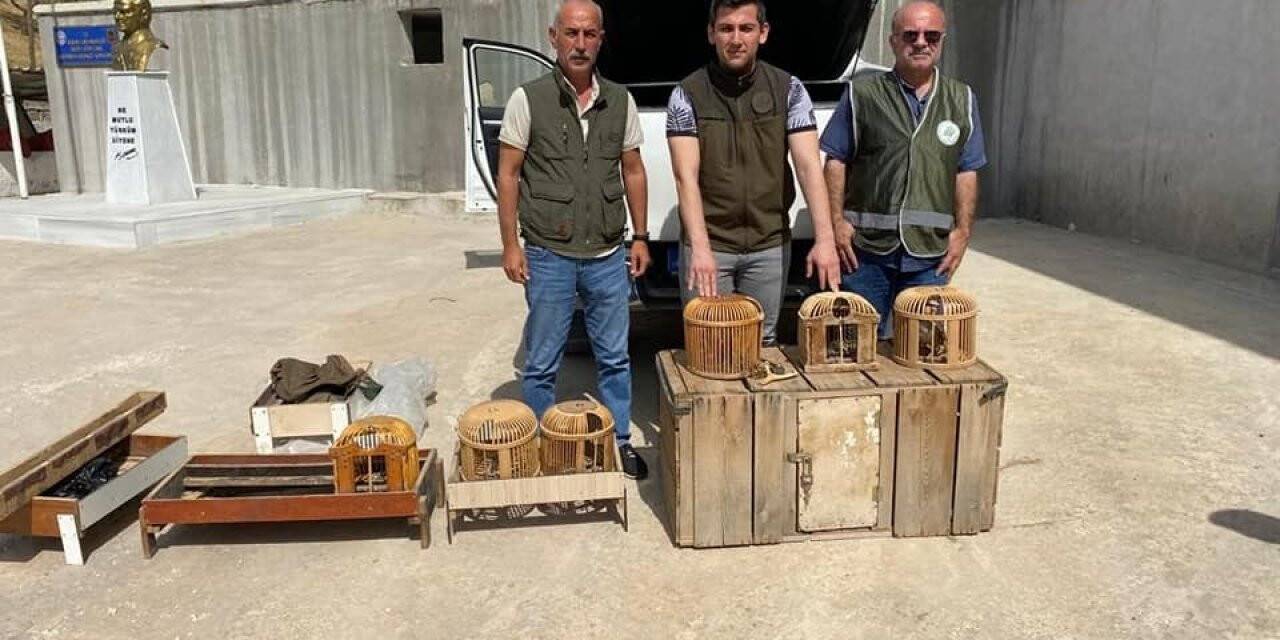 Siirt’te kaçak avcıya tutanak tutuldu