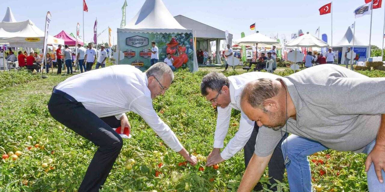 Salçalık domateste marka olan Karacabey’de domates fuarı