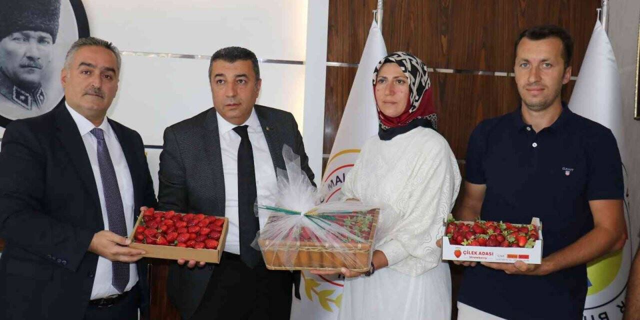 MTB Başkanı Özcan, çilek üreticilerini ödüllendirdi