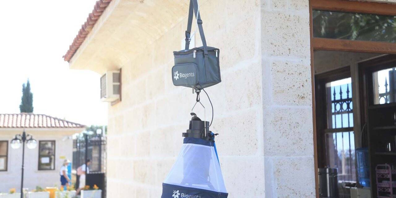 Asya kaplan sivrisineğine karşı önlem alınıyor