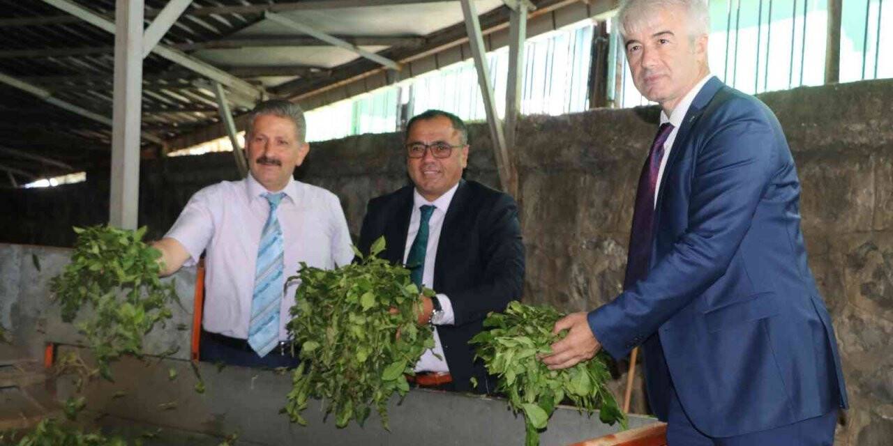 Tarım alanında eğitim veren meslek liselerinde yeni eğitim modeli