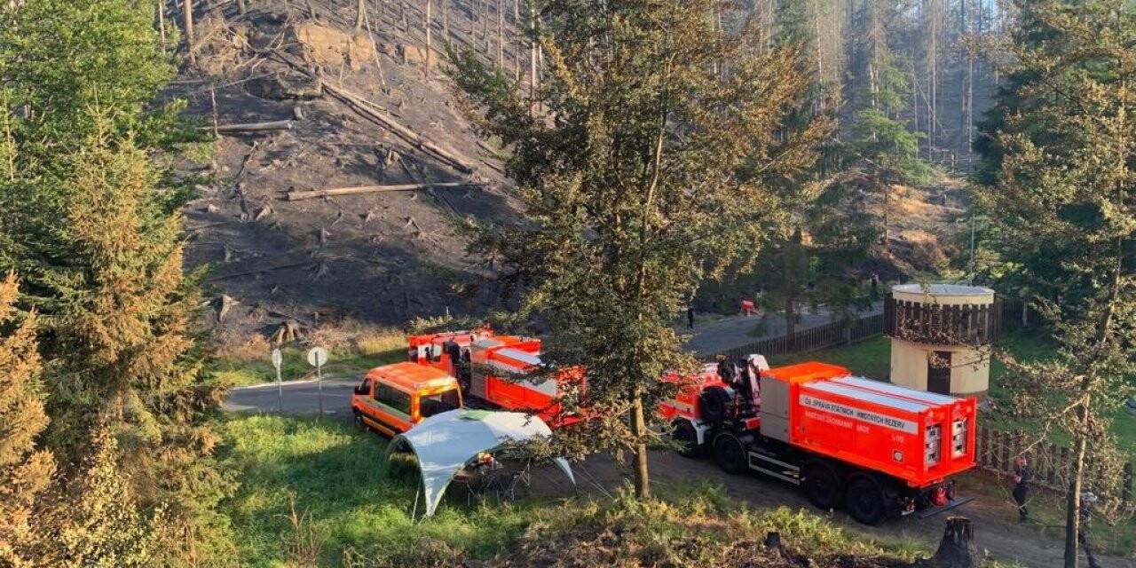 Çekya’daki orman yangınında bin hektarlık alan kül oldu