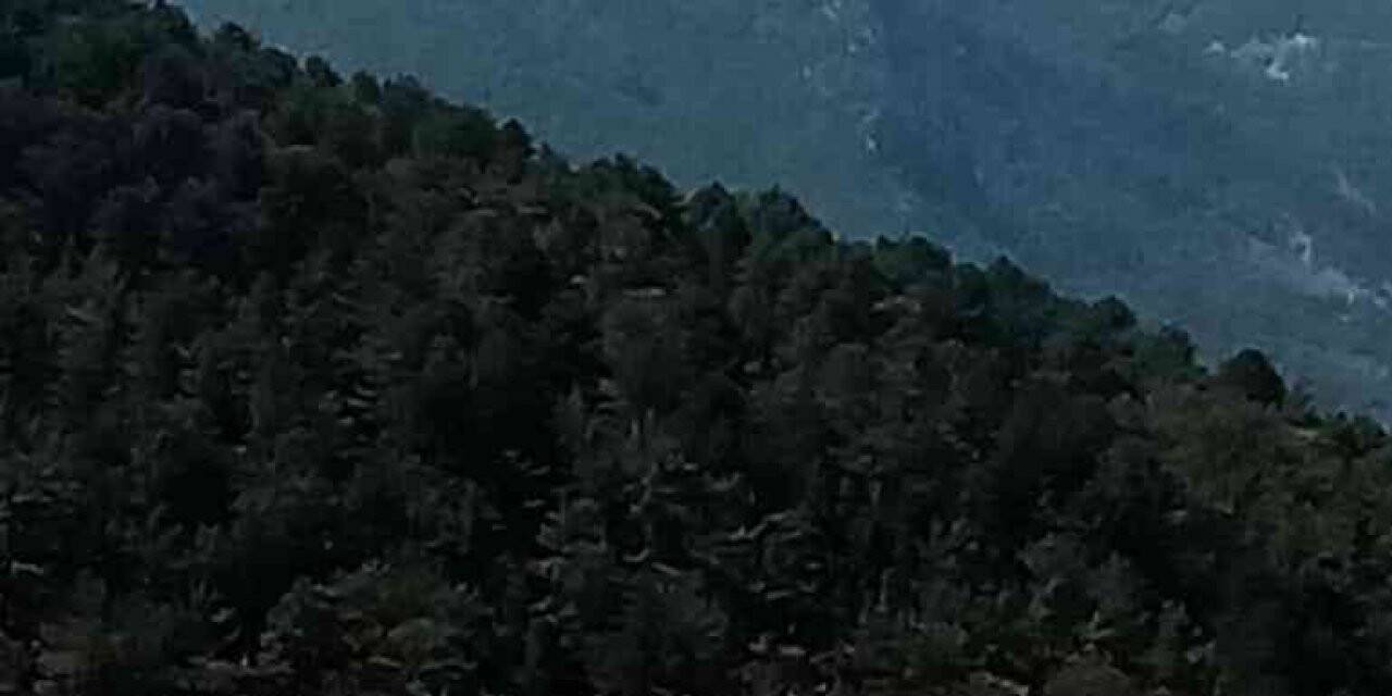 Antalya’da orman yangını