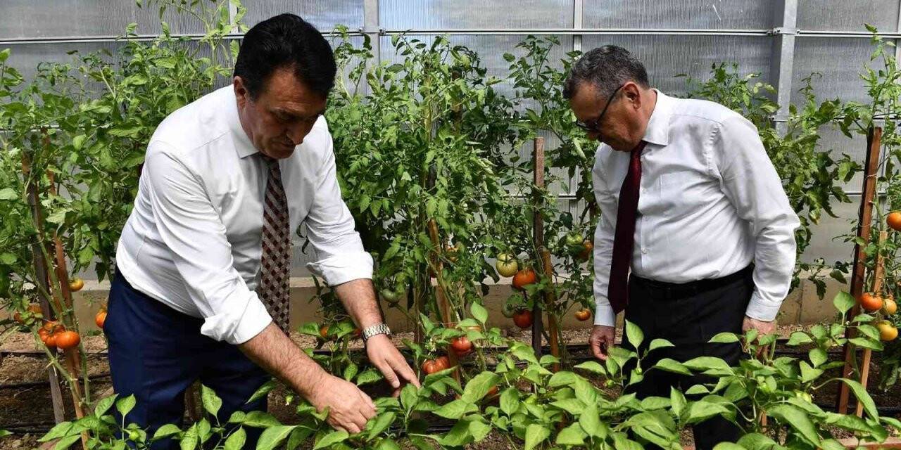 Bursa’da yerli ve milli tohum için işbirliği