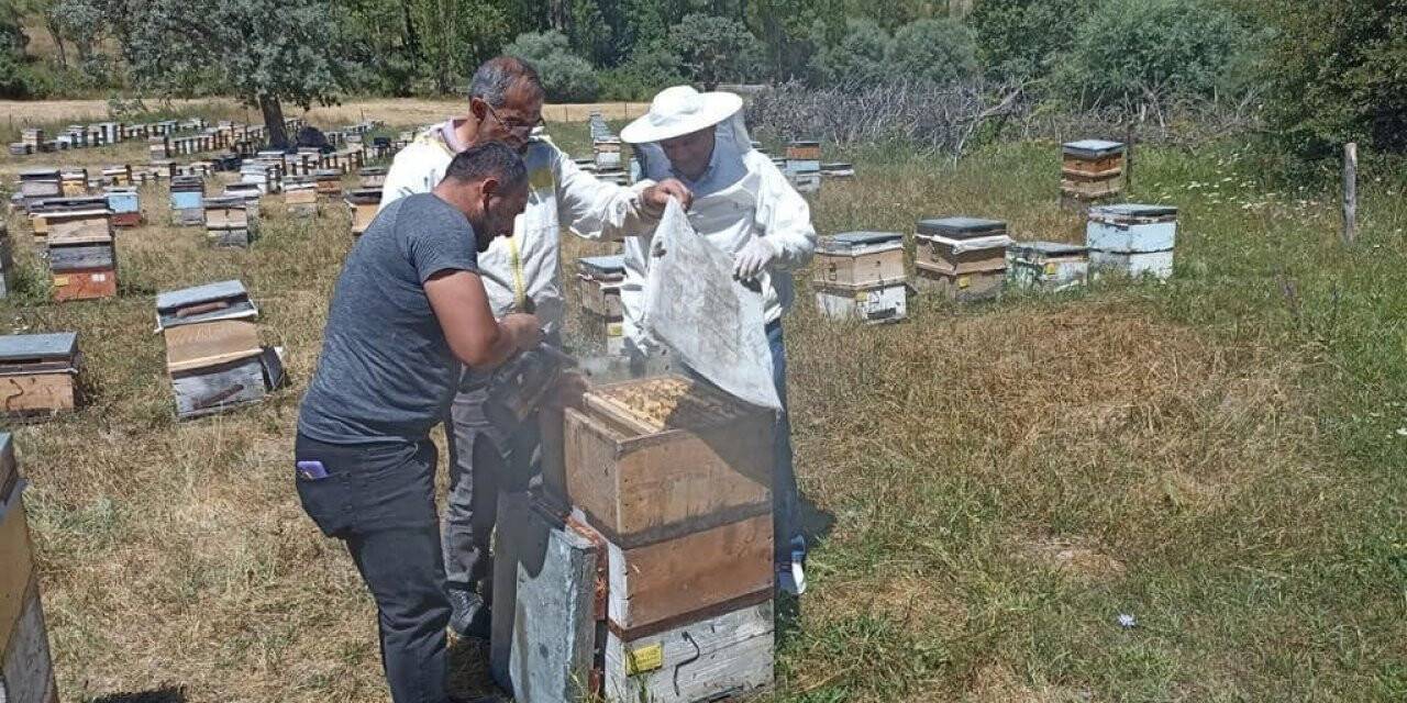 Binali Yıldırım memleketi Refahiye’de sezonun ilk bal hasadına katıldı