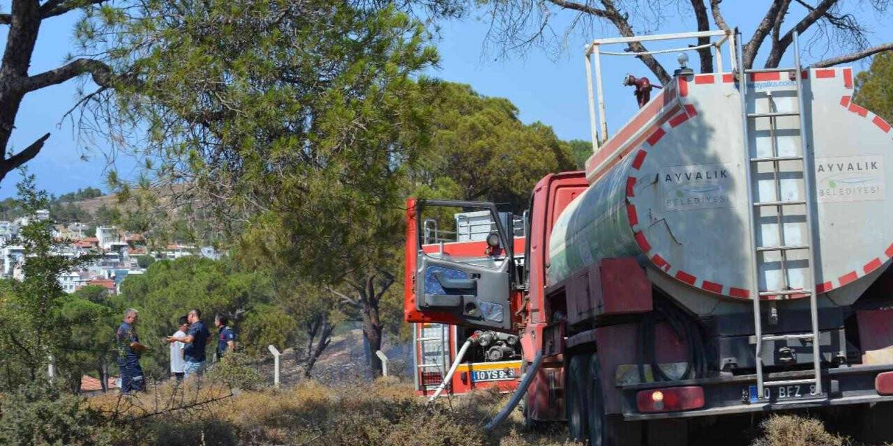 Ayvalık’ta orman yangını korkuttu