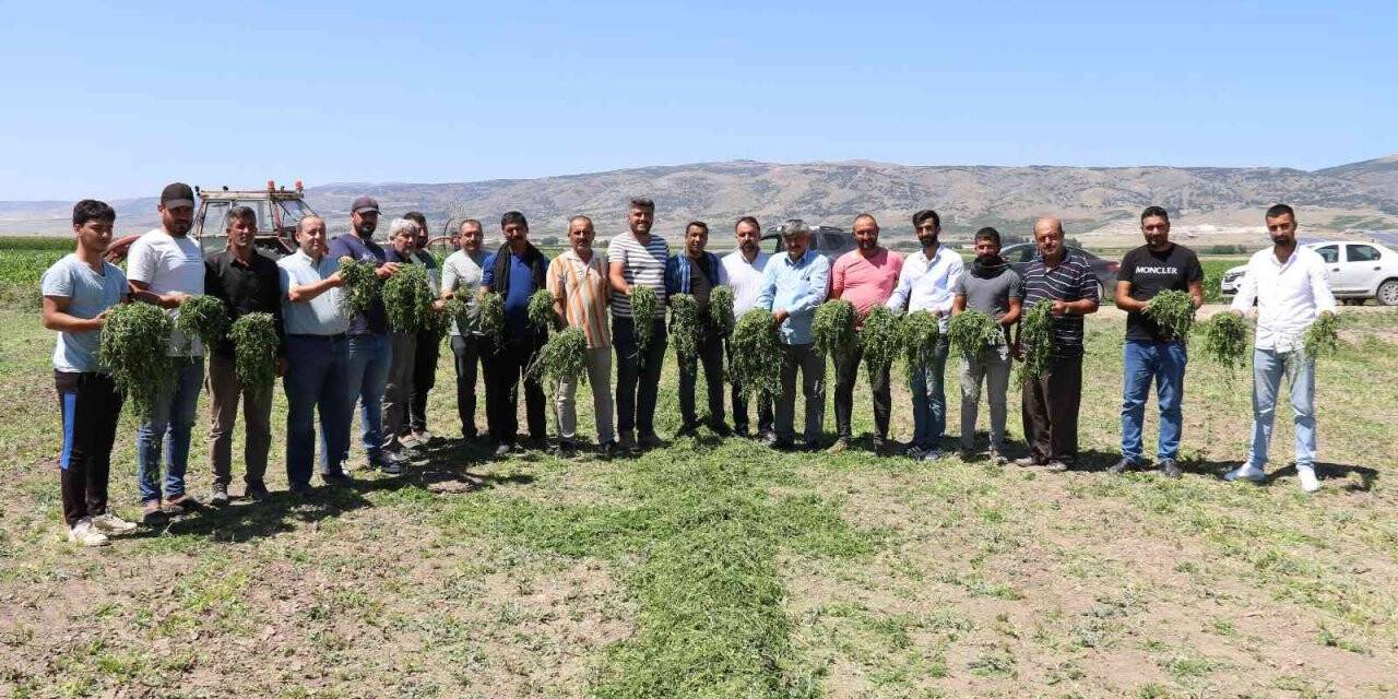 Aracılara sinirlenip İstanbul’a 2 gün boyunca ürün göndermeyi durdurdular