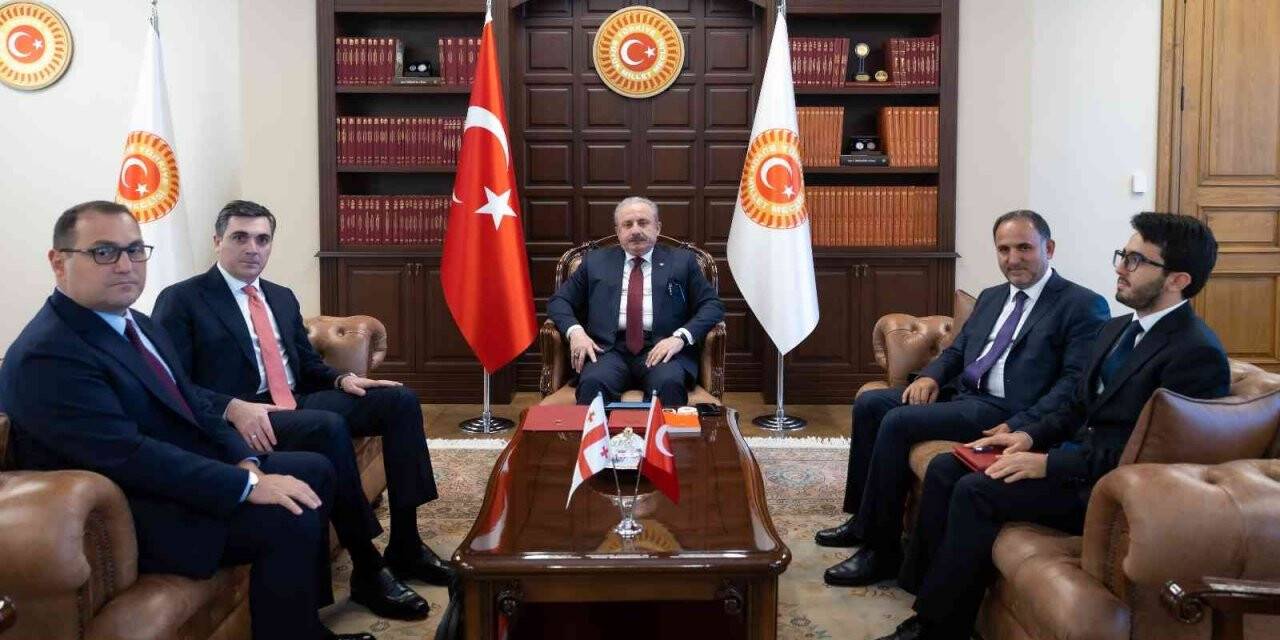TBMM Başkanı Şentop, Gürcistan Dışişleri Bakanı Darchiashvili’yi kabul etti