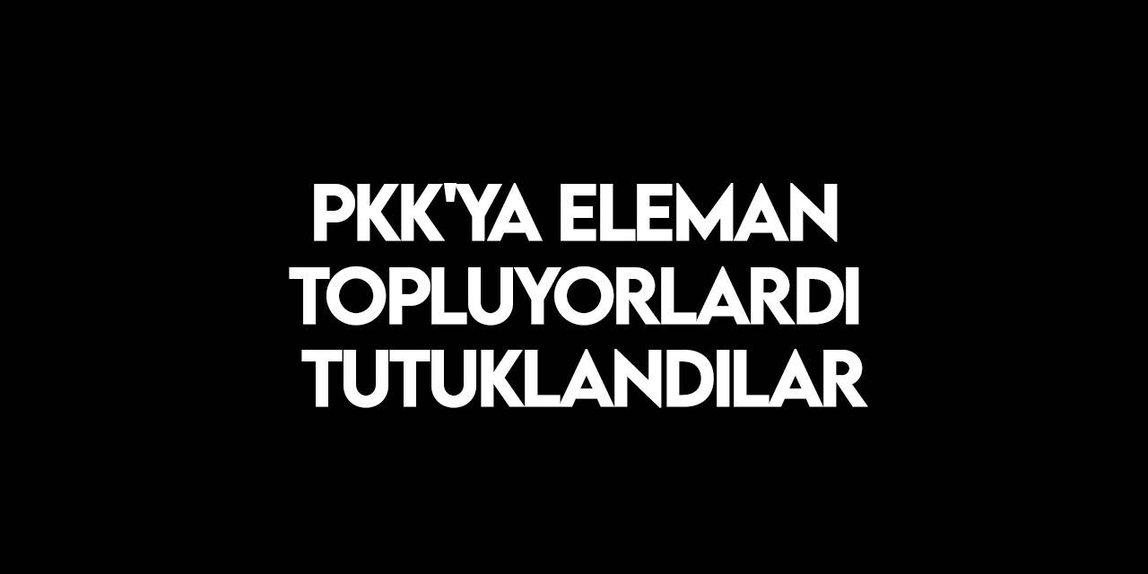 PKK’nın dağ kadrosuna eleman toplayan 5 kişi tutuklandı