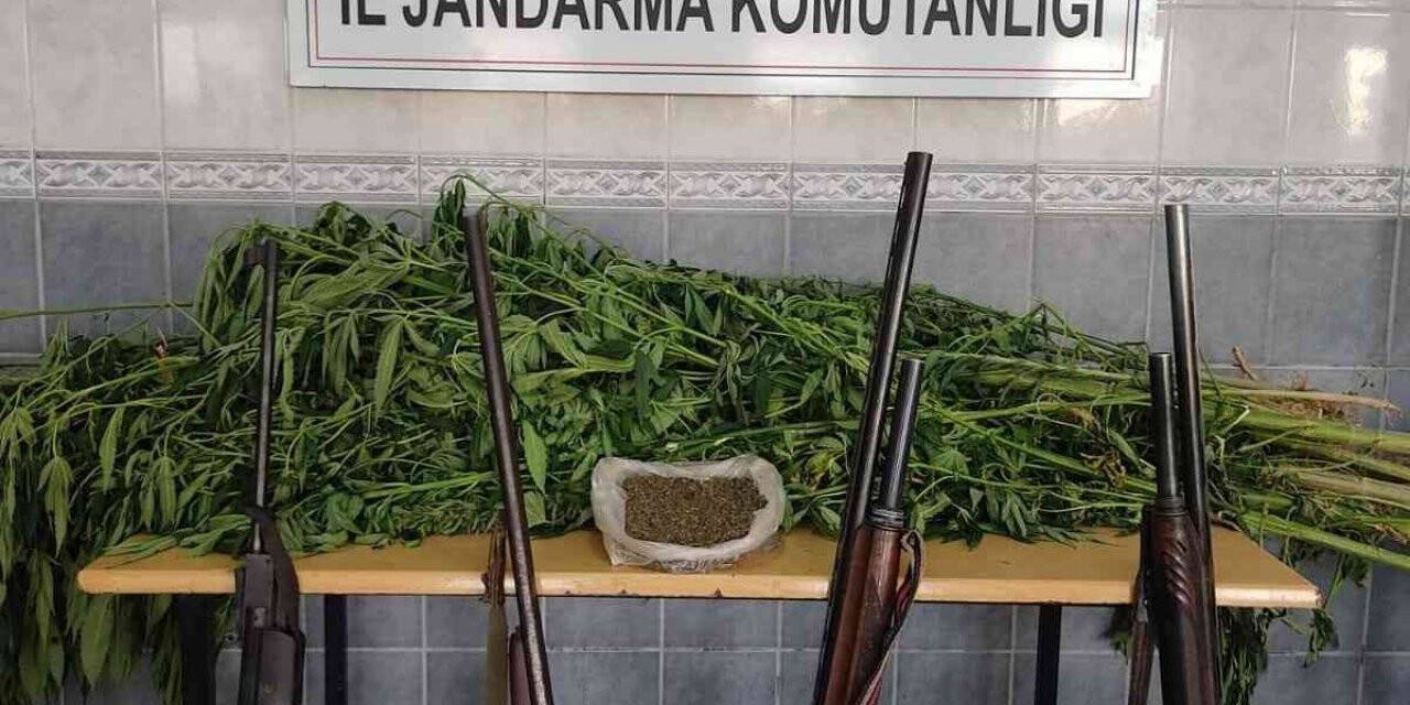Esrar ve kenevirlerin ele geçirildiği bağ evinin sahibi aranıyor