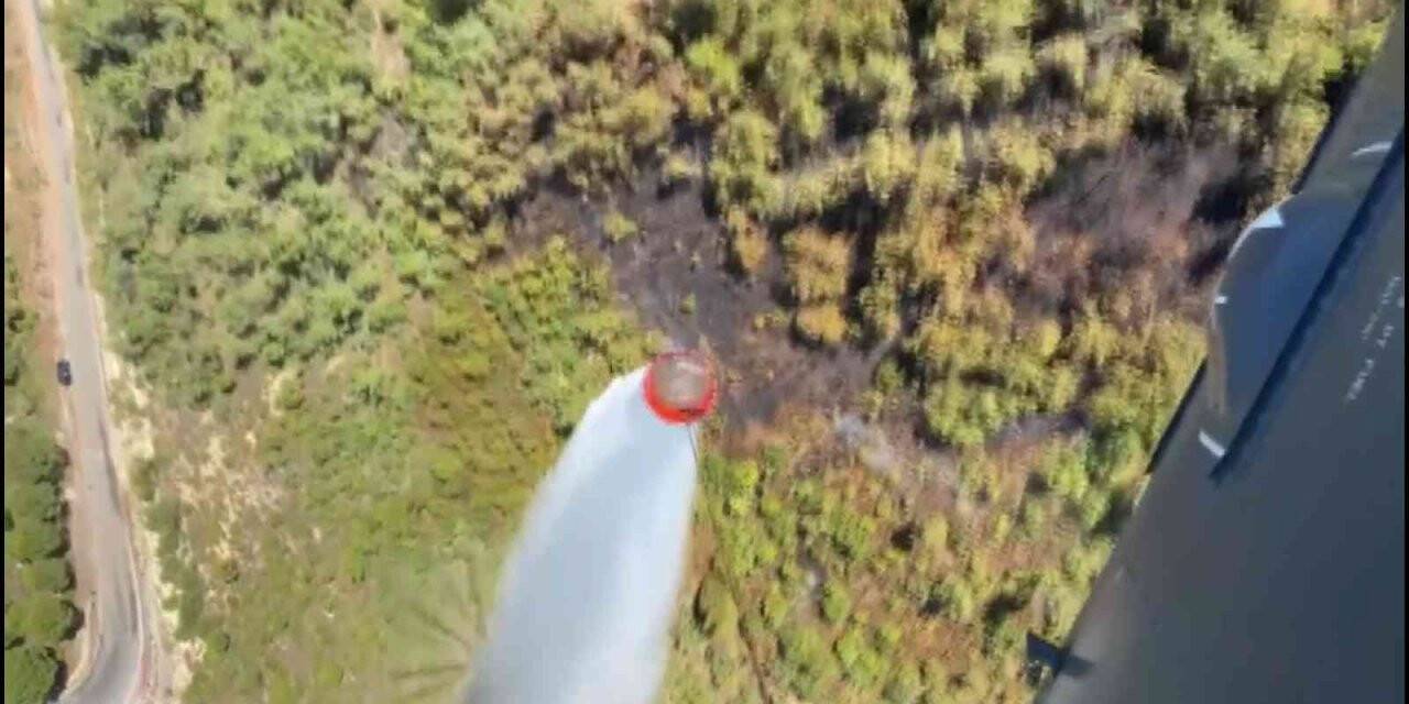 Balıkesir’de korkutan orman yangını