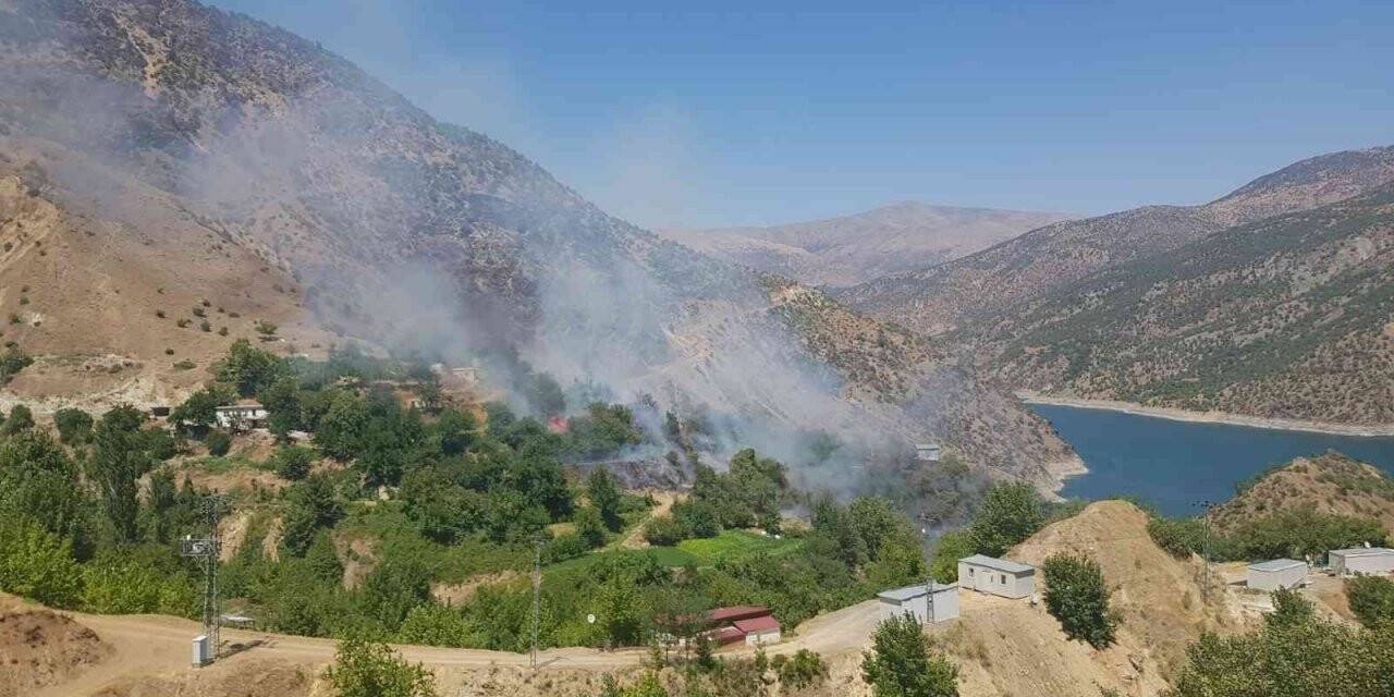 Aşırı sıcaklar yangına sebep oluyor