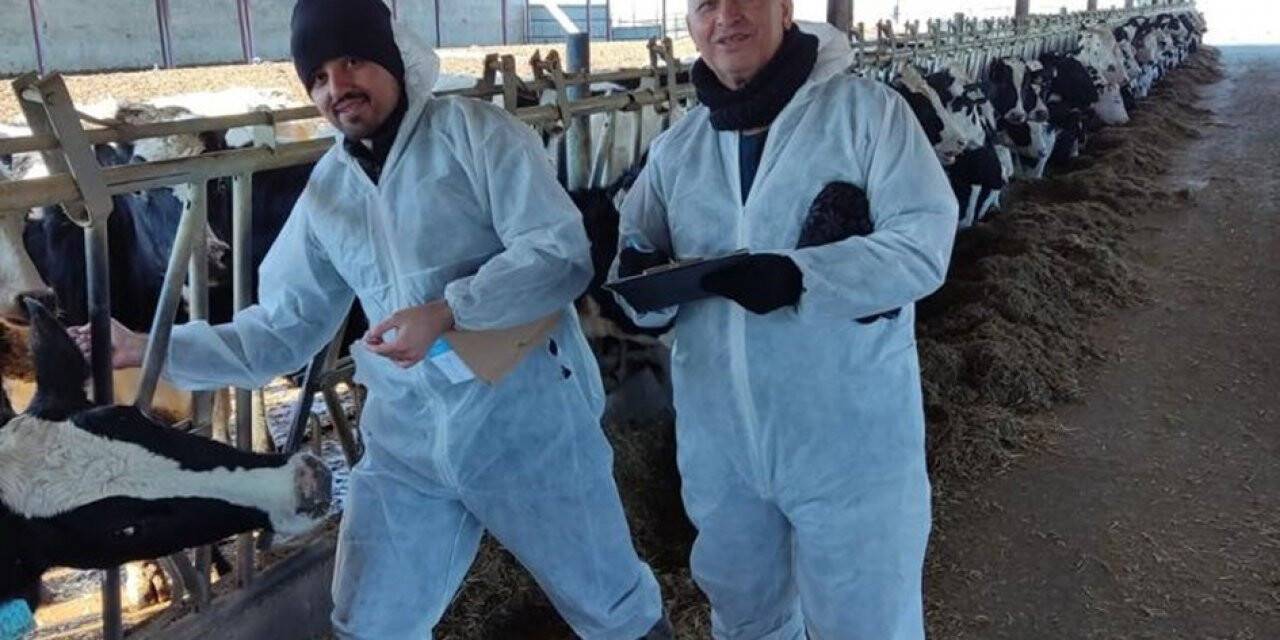 Kırklareli’nde arilik çalışmaları sürüyor