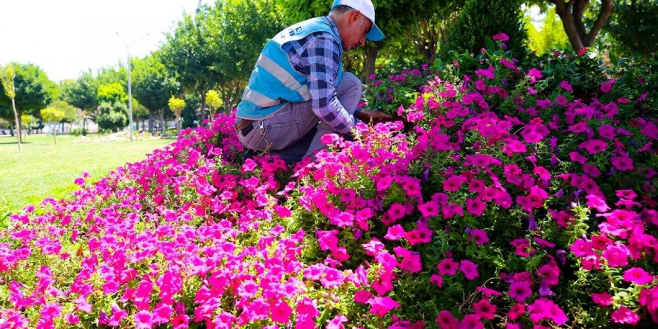 Eyyübiye parklarında peyzaj düzenlemesi