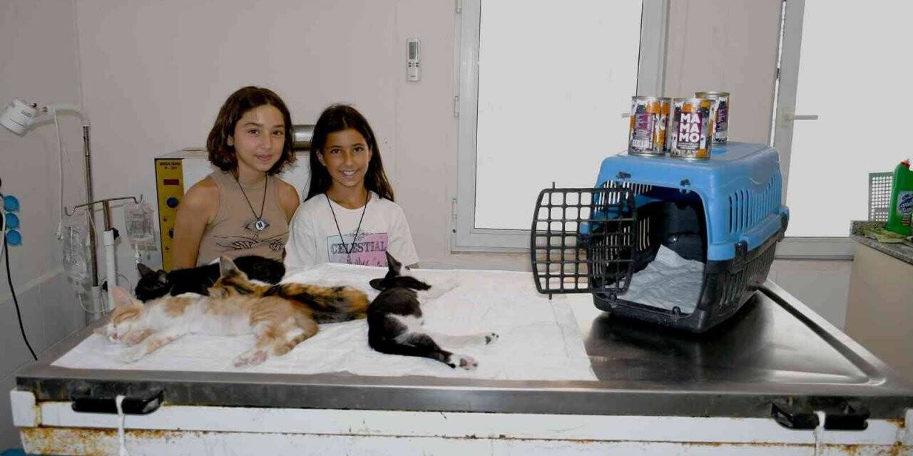 Kuşadası’nda patili dostlar için kalpleri ısıtan yardımlaşma