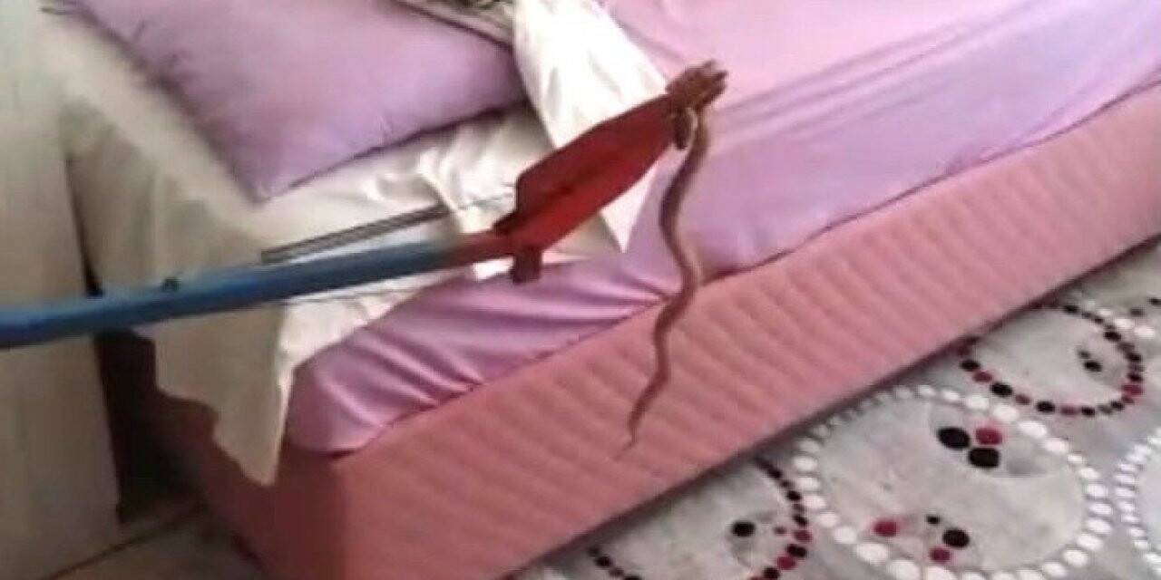 Besni’de eve giren yalan yakalandı