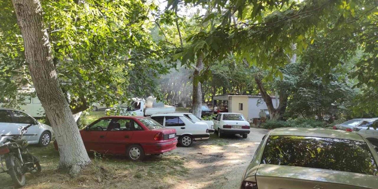 Sarıgöllüler sıcak havada mesire alanına akın etti