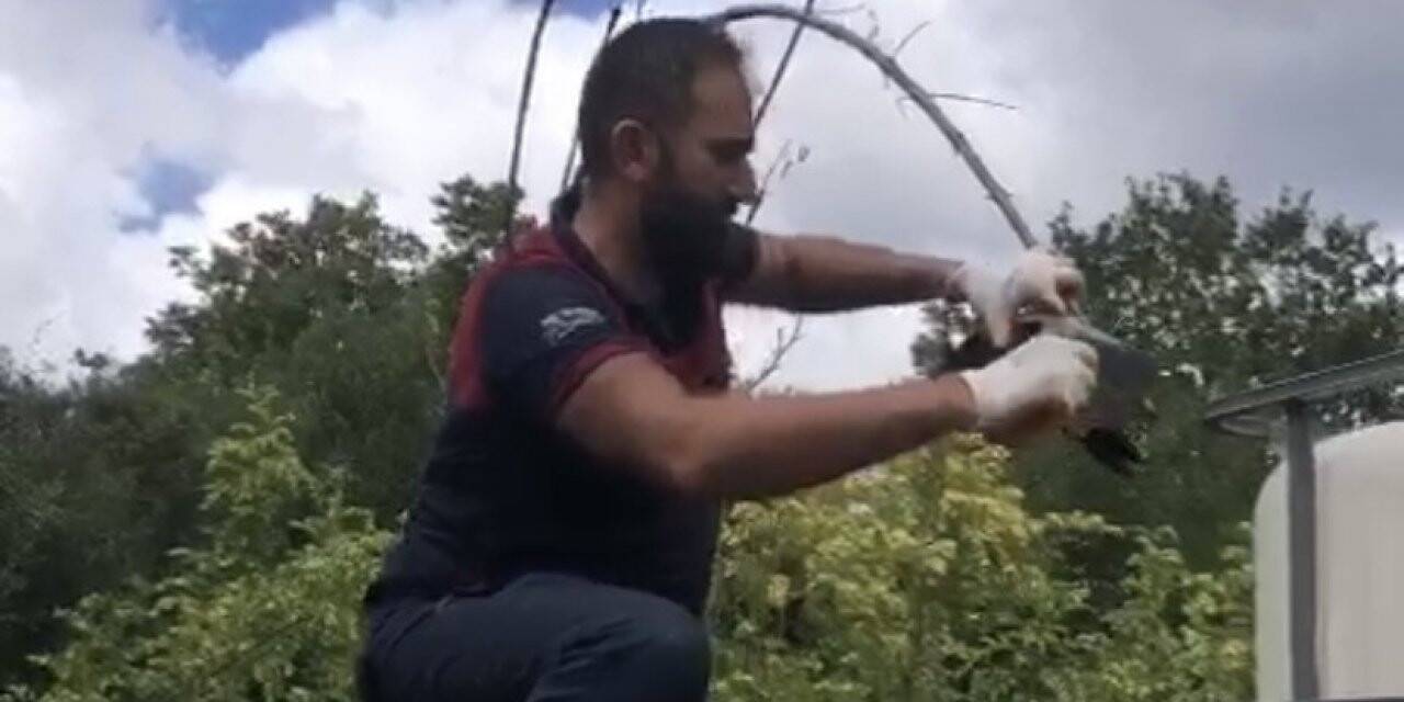 Pendik’te karga kurtarma operasyonu kamerada