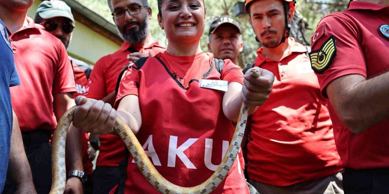 STK’lara hayvan arama kurtarma eğitimi