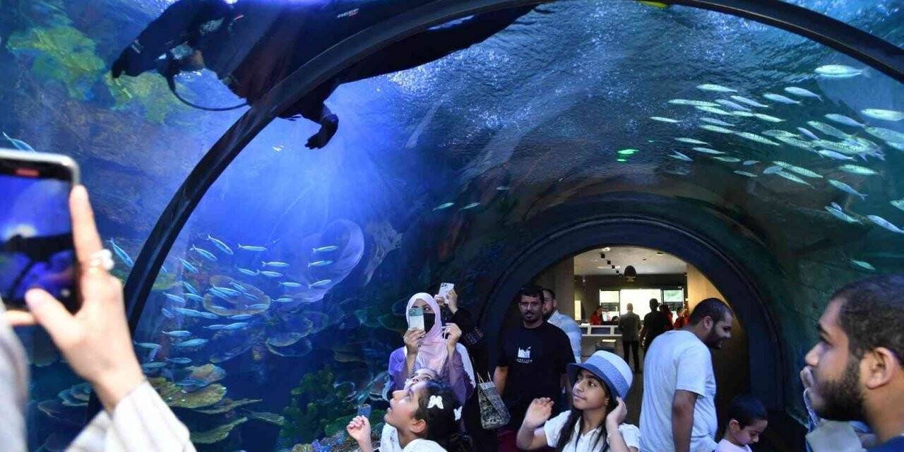 ‘Trabzon Akvaryum’ dolup taşıyor
