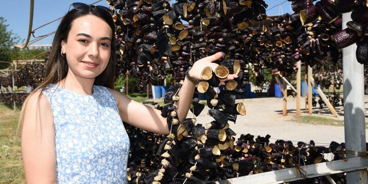 Nazilli’den dünyaya doğal lezzet: Kurutulmuş patlıcan