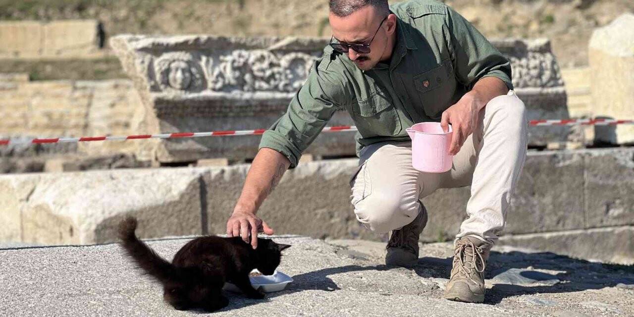 Anne kedi ve yavruları antik kentin maskotu oldu