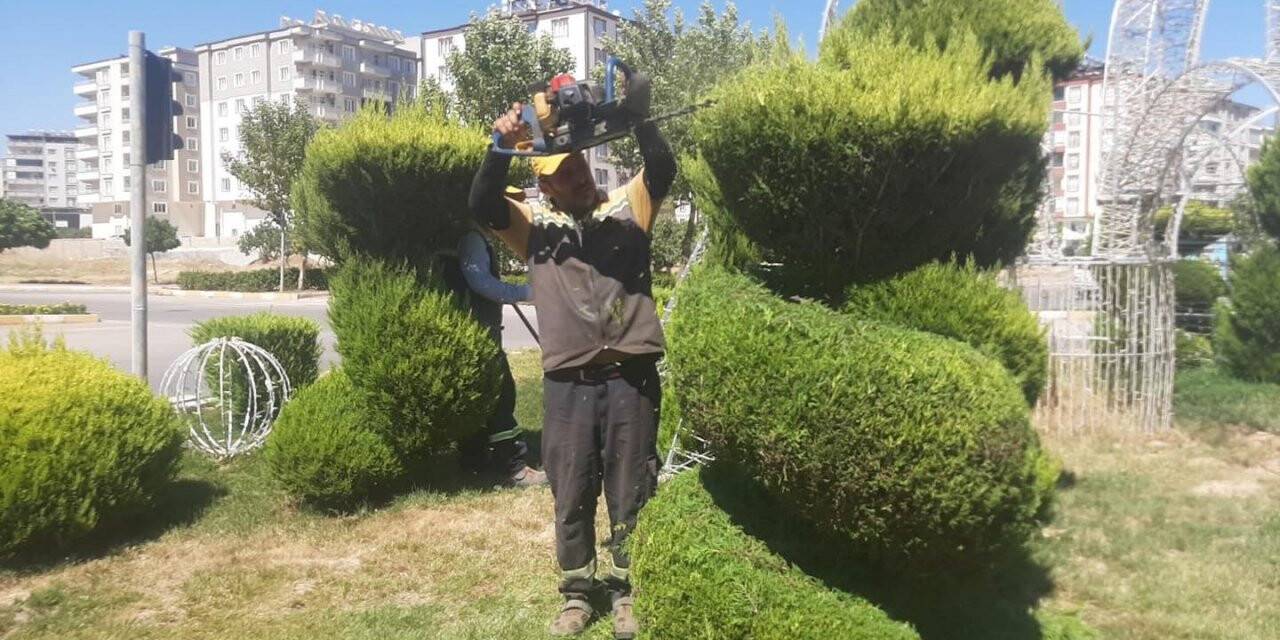 Kilis’te park, refüj ve bulvarlara yaz bakımı