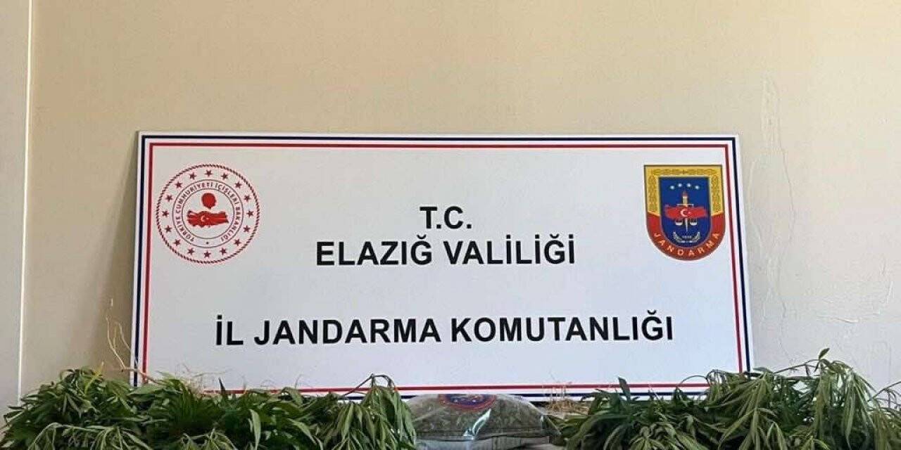 Elazığ’da jandarmadan eş zamanlı uyuşturucu operasyonu